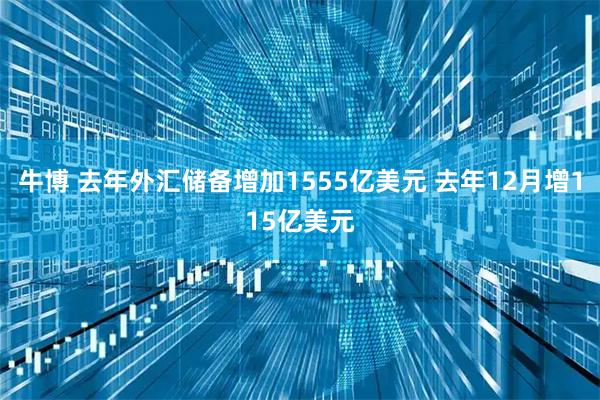 牛博 去年外汇储备增加1555亿美元 去年12月增115亿美元