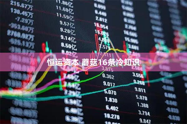 恒运资本 蘑菇16条冷知识